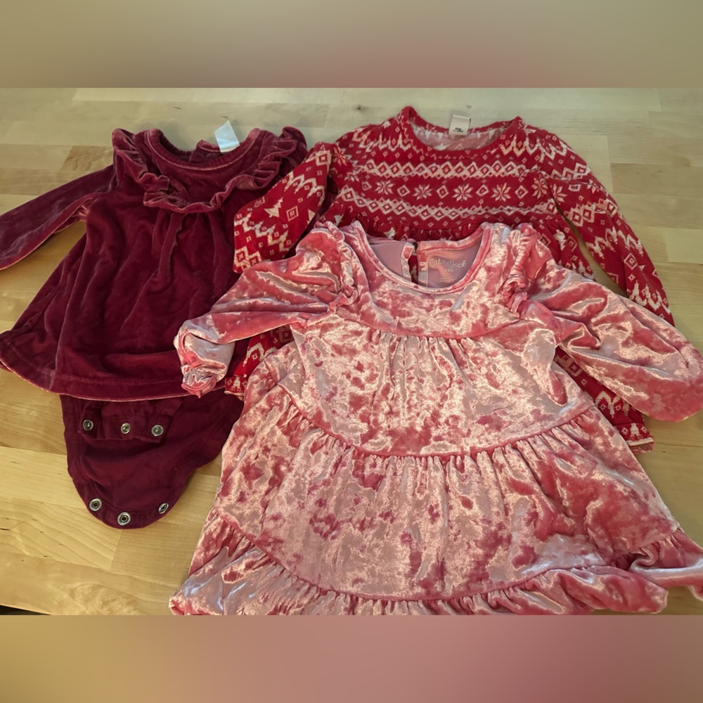 Bundle of girls fall/winter dresses Size 12 months